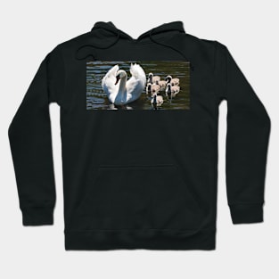 Swan Hoodie